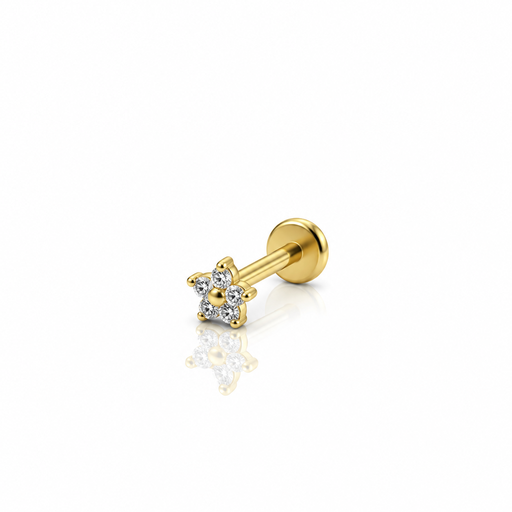 [2026-09-24-294.png] Women’s Ear Piercing