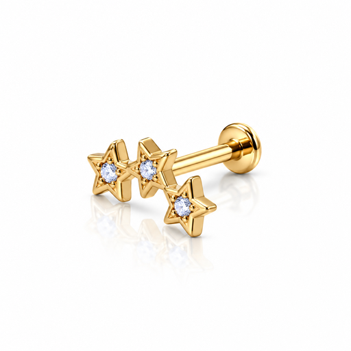 [2026-10-01-464.png] Women’s Ear Piercing